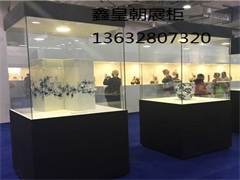 博物馆独立柜041