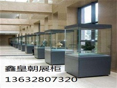 博物馆独立柜038