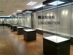 博物馆独立柜036