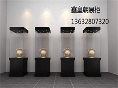 博物馆独立柜034