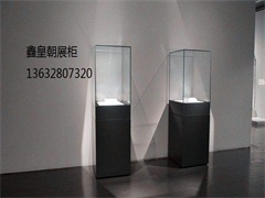 博物馆独立柜033