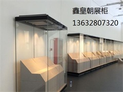博物馆独立柜032