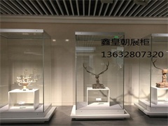 博物馆独立柜028