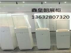 博物馆独立柜027