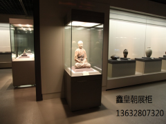 博物馆独立柜021