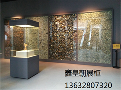 博物馆独立柜019