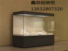 博物馆独立柜018