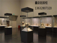 博物馆独立柜011