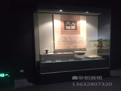 博物馆独立柜010