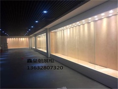 博物馆通柜010
